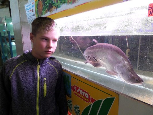 На зоовыставке