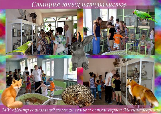 Мы записались в юннаты!