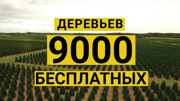 Проголосуйте за свой город