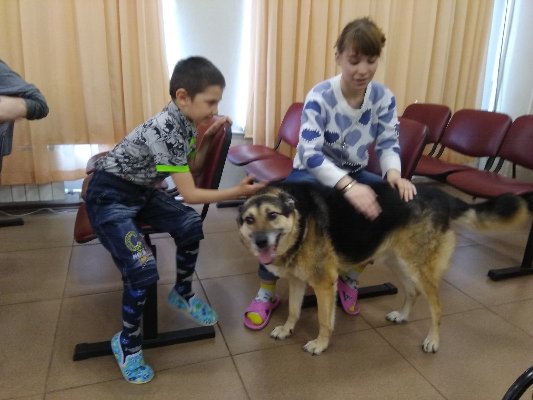 ВСТРЕЧА С ЧЕТВЕРОНОГИМИ ДРУЗЬЯМИ