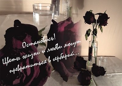 Сотрудник МУ «Центр социальной помощи семье и детям города Магнитогорска» стала победителем в конкурсе на лучшую социальную рекламу в Челябинской области
