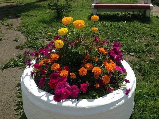 ЭКОЛОГИЧЕСКОЕ ВОСПИТАНИЕ ДОШКОЛЬНИКОВ В МУСО «СОЦИАЛЬНО-РЕАБИЛИТАЦИОННЫЙ ЦЕНТР ДЛЯ НЕСОВЕРШЕННОЛЕТНИХ Г.МАГНИТОГОРСКА» МЕТОДОМ ПРОЕКТА