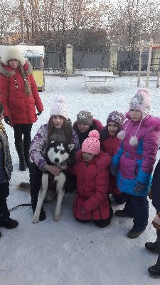ЭНИМАЛТЕРАПИЯ В ЦЕЛЯХ УСПЕШНОЙ РЕАБИЛИТАЦИИ В СОЦИАЛЬНО-РЕАБИЛИТАЦИОННОМ ЦЕНТРЕ ДЛЯ НЕСОВЕРШЕННОЛЕТНИХ