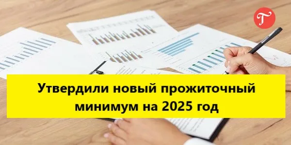 Прожиточный минимум на 2025 год в Челябинской области